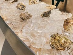 -Oyster Talks 四度蚝法餐厅