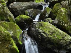 -藏龙百瀑风景区