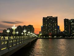 -野狸岛