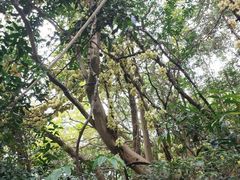 -白水带风景区体育公园