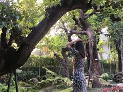 -Chom Cafe and Restaurant