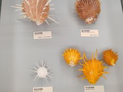 -天津古林古海岸遗迹博物馆