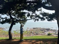 -青岛海景花园大酒店