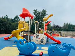 -铁山坪森林公园