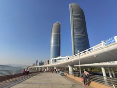 -演武大桥观景平台