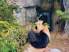 -泉州海丝野生动物世界