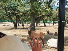 -西安秦岭野生动物园