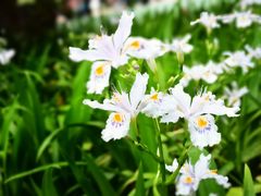 -唐城墙遗址公园