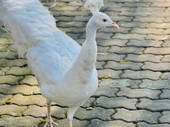 -金庭庄园酒店-停车场