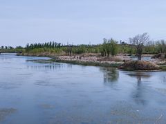 -马家湾湿地公园