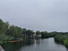 -溱湖国家湿地公园