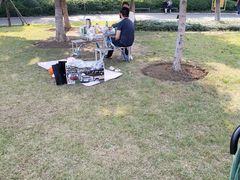 -青枫公园