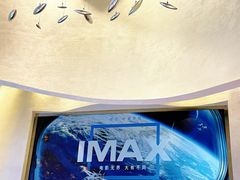 -万达影城(浦西万达广场激光IMAX店)