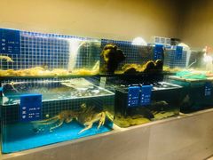 -味莊·青岛菜(云霄路店)