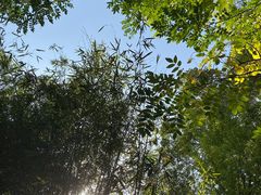 -香园自助小火锅