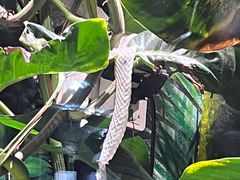-正佳雨林生态植物园
