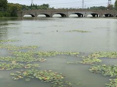 -昆山城市生态森林公园