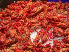 -星伦多自助料理(江阴万达店)