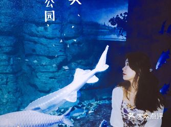 59.9的海底世界水族馆 超出片超多海底生物