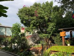 -三圣花乡旅游区