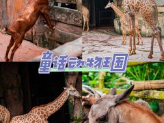 -长鹿旅游休博园