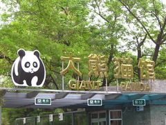 大熊猫馆-北京动物园