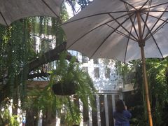 -Fern Forest Cafe