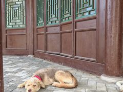 -盛世南宫影视城(北普陀影视城)