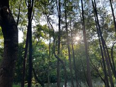 -南通濠河风景名胜区