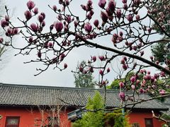 -成都武侯祠博物馆