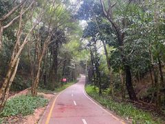 -鹅滋道(甘坑古镇店)