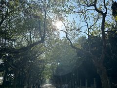 -八大关景区