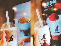 橙意浓浓-WIZARD COFFEE咖啡巫师