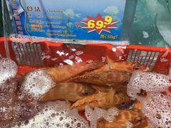 -渔民新村(番禺总店)