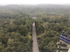 -灵谷景区