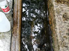 -白沙古井