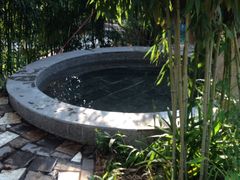 -金孔雀温泉旅游度假村