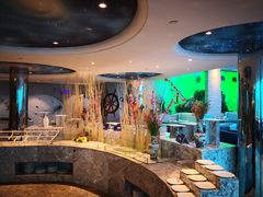 -瑞德姆美人鱼海底演艺主题餐厅(亚龙湾店)