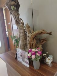 -蓝山医疗美容医院