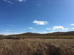 -塞罕坝国家级自然保护区