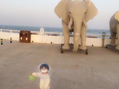 -北戴河碧螺塔海上酒吧公园