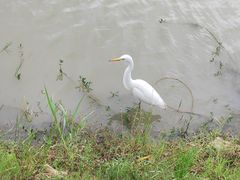-艾溪湖湿地公园