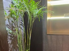 -曼格纳·曼芯馆(杨浦店)