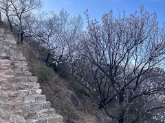 -蟠龙山长城景区