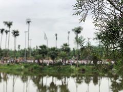 -枫香湖儿童公园