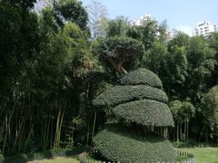 -苏州河梦清园环保主题公园