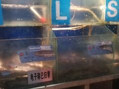 水产区-鱼酷活鱼烤鱼(沈阳大悦城店)