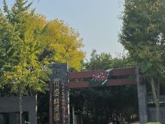 -洛阳市隋唐城遗址植物园