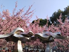 -静安雕塑公园