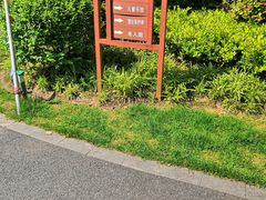 -亭林公园